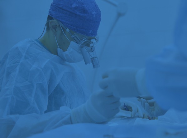 포인트02 이미지