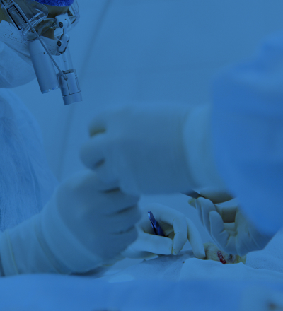 포인트01 모바일 이미지